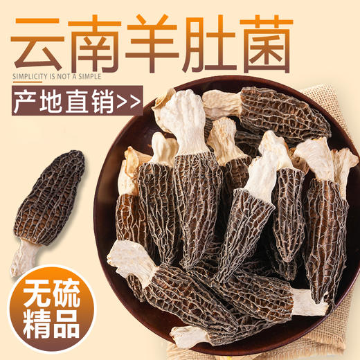 【新鲜云南特产】 羊肚菌干货 农家菌菇 蘑菇菌类干 商品图0