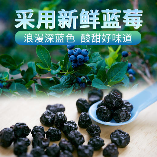 【华中】安徽徽王蓝莓果干200g/盒 商品图1