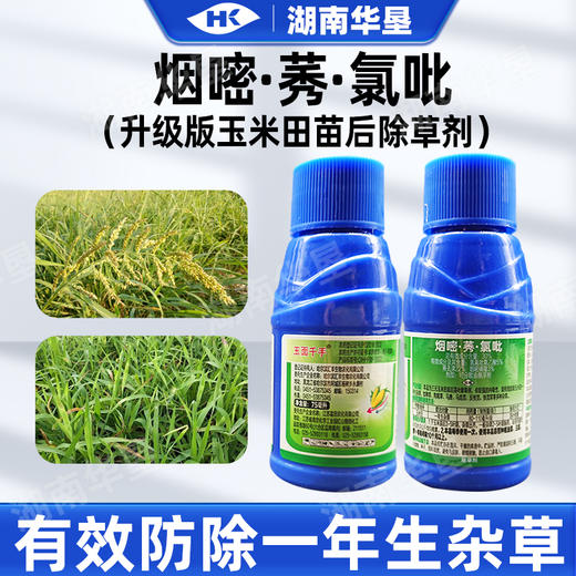 正品玉米苗后专用除草剂烟嘧磺隆莠去津氯吡三元复配除草剂封闭剂 商品图1