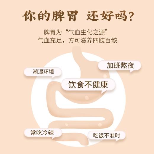 【自营】全控谷谷研观人参八珍粉健脾胃营养早餐山药茯苓薏米芡实 商品图3