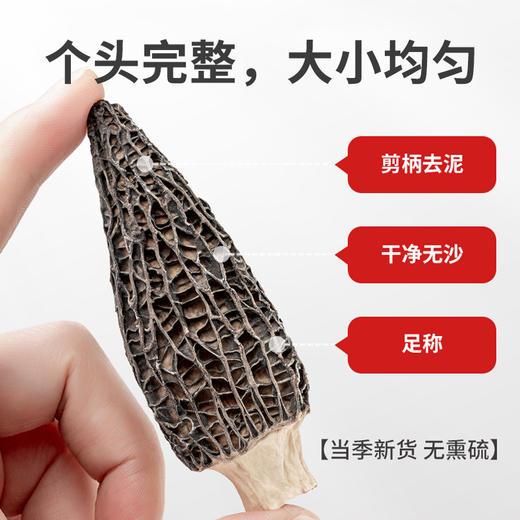 【新鲜云南特产】 羊肚菌干货 农家菌菇 蘑菇菌类干 商品图1