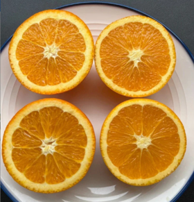 【伦晚橙热销】秭归橙 自然农法种植 宜昌道法自然福慧农场