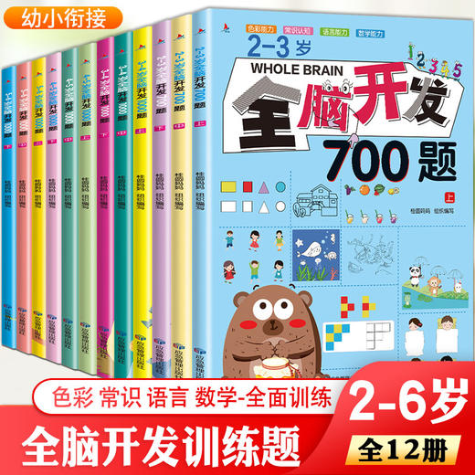 2-3-4-5-6岁全脑开发700题思维训练1000题幼儿专注力 商品图0