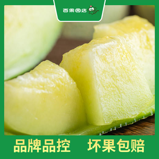 PAGODA百果园 A级-翡翠蜜瓜（大）2粒彩箱装（4.5-5斤） 商品图1