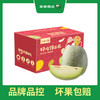 PAGODA百果园 A级-翡翠蜜瓜（大）2粒彩箱装（4.5-5斤） 商品缩略图2