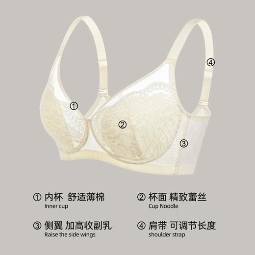 满天星舒适养护文胸 大胸显小薄棉内里 软钢圈全罩杯 聚拢侧收副乳 高弹细网亲肤透气 商品图3