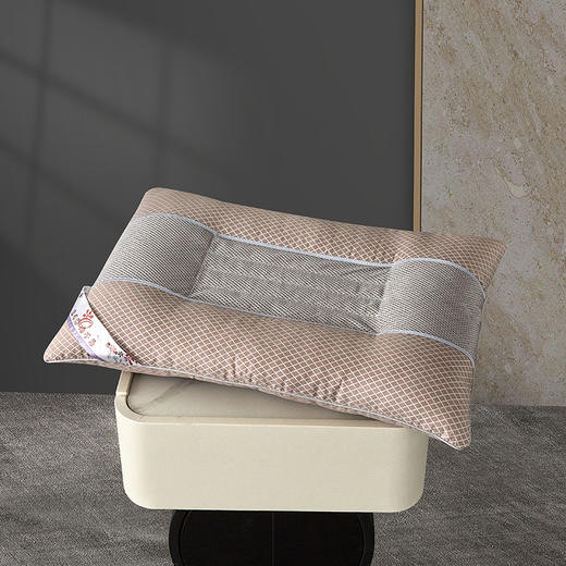 水星家纺 臻选抗菌决明子枕 单个装 商品图0