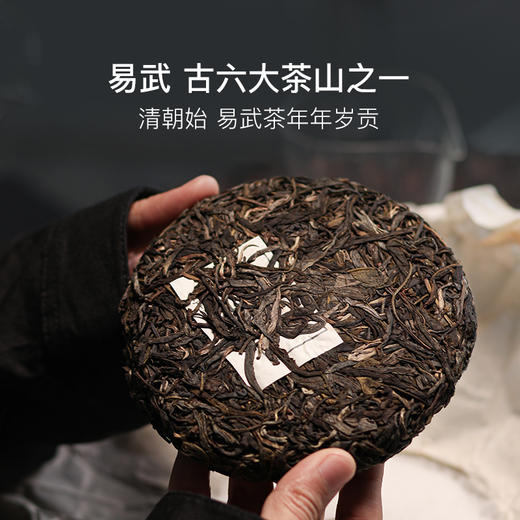 标杆易武味 2022年麻黑普洱200g饼茶 商品图1