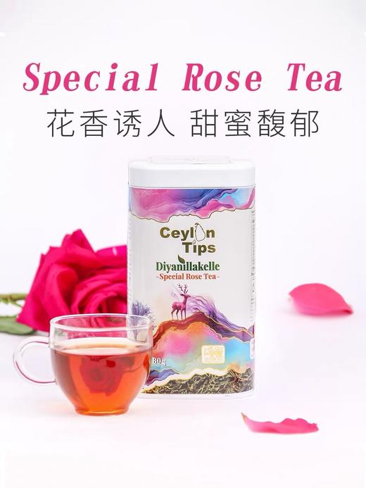 【完税】斯里兰卡 Ceylon Tips锡兰古树红茶80g 商品图1