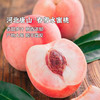 枝悦 河北唐山春雪水蜜桃3斤/5斤 鲜甜多汁 产地直发 72小时发货 商品缩略图0