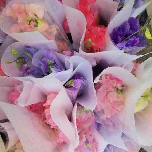 豌豆花（无叶） 商品图0