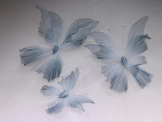 纱蝴蝶（运费自理） 商品图7