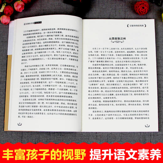 语文课本作家作品系列单色 记金华的双龙洞 商品图5