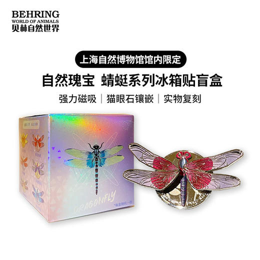 贝林自然世界X上海自然博物馆-自然瑰宝-蜻蜓系列冰箱贴 商品图0