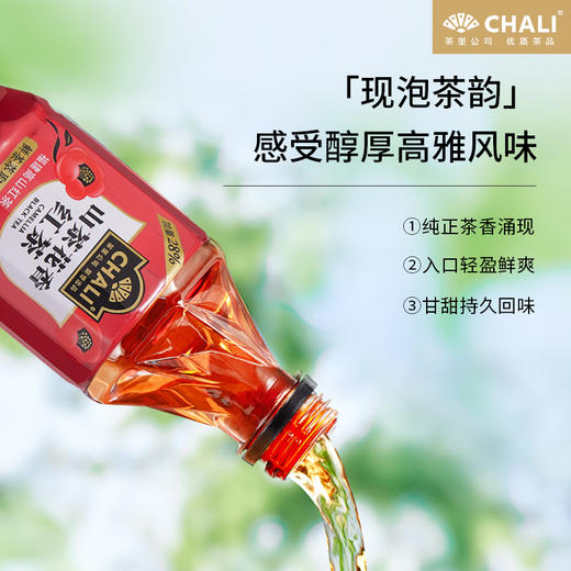 【新品上市】CHALI 山茶花香红茶无糖茶饮料500ml 15瓶/箱 商品图1