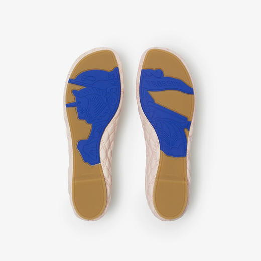 BURBERRY 巴宝莉 女士皮革 Sadler 芭蕾鞋 浅粉色 8083706 B8640 商品图2