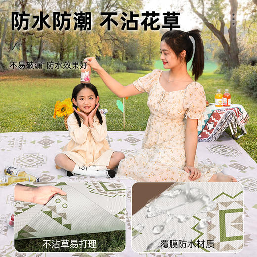 一次性野餐垫户外防潮垫单双人 商品图3