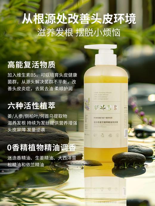 【预售15~20天】买1瓶即赠50ml旅行装~芳疗植物精油洗发水洗发露  无硅油，无合成香精，去屑去油，柔顺护润，洗护合一 商品图2