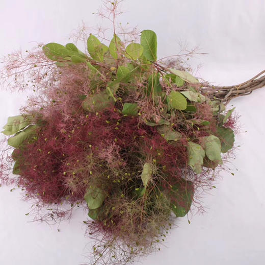 雾中情人 商品图4