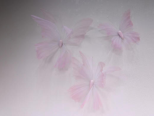 纱蝴蝶（运费自理） 商品图2