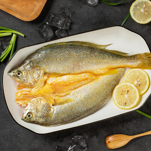 【野生海产】冰川黄鱼200-300g 近南极海域 商品图2