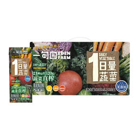 一甸园 100%蔬菜汁 200ml*10