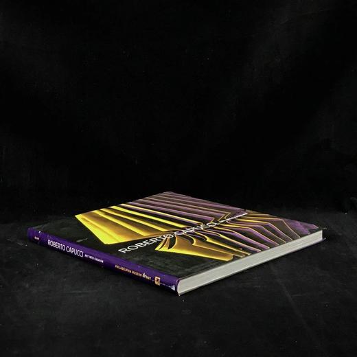 罗贝托·卡普奇：艺术融入时尚 约百余幅彩色插图 平装大16开 商品图1