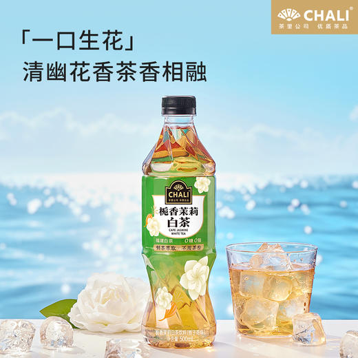 【新品上市】CHALI 栀香茉莉白茶无糖茶饮料500ml 15瓶/箱 商品图3