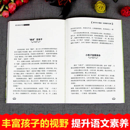 语文课本作家作品系列单色 童年的水墨画 商品图5