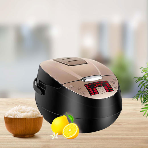 SC5533 电饭煲 商品图0