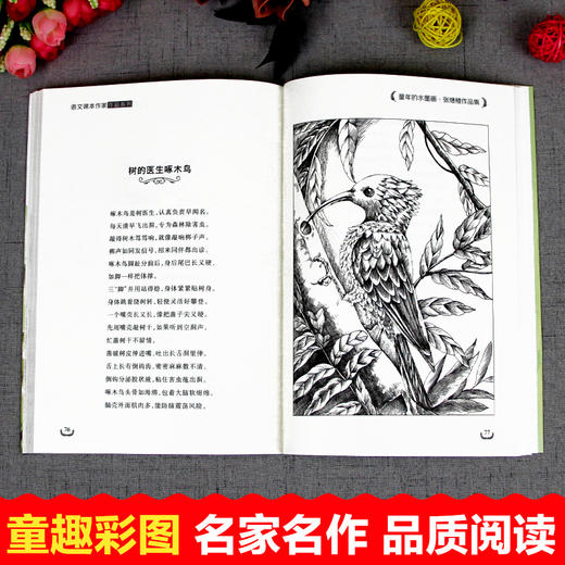 语文课本作家作品系列单色 童年的水墨画 商品图4