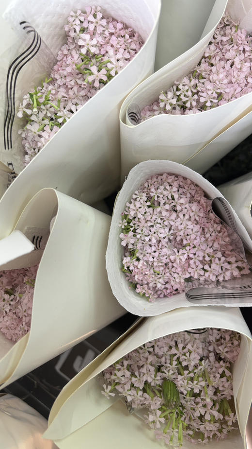 【受欢迎】粉钻 约10枝/扎 商品图5