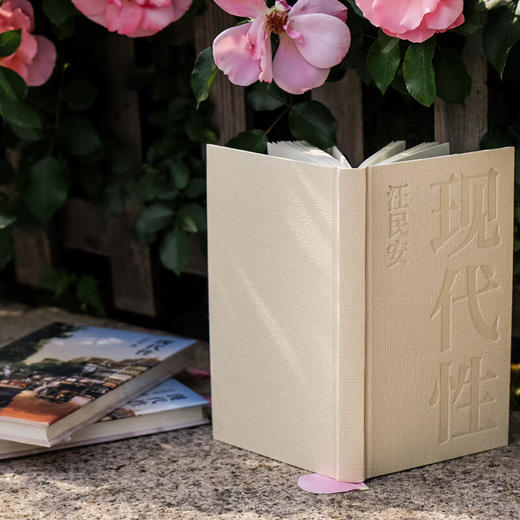 守望者书系：现代性 汪民安 著 商品图6