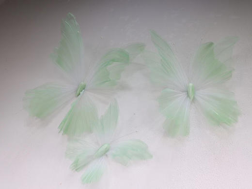 纱蝴蝶（运费自理） 商品图4