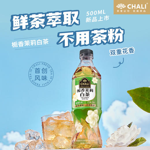 【新品上市】CHALI 栀香茉莉白茶无糖茶饮料500ml 15瓶/箱 商品图0