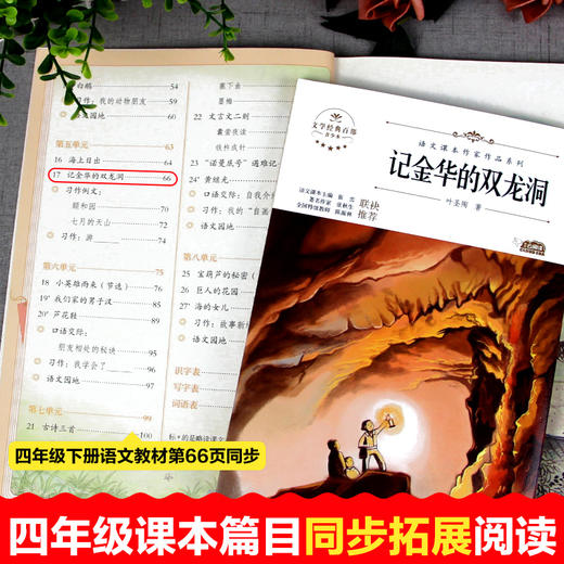 语文课本作家作品系列单色 记金华的双龙洞 商品图3