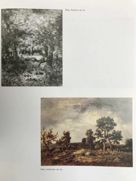 法国风景画的兴起：从科罗到莫奈 144幅插图（105幅彩色） 精装16开 商品图7