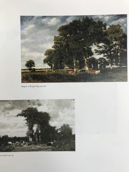 法国风景画的兴起：从科罗到莫奈 144幅插图（105幅彩色） 精装16开 商品图6