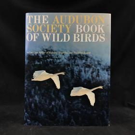 奥杜邦学会野生鸟类书籍 数百幅插图 精装大16开