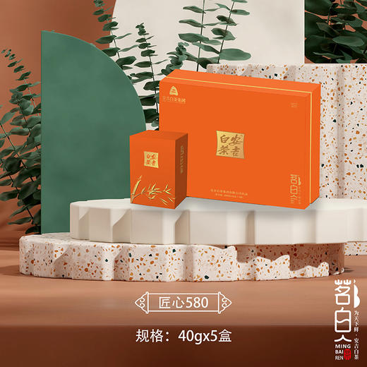 【2026·安吉白茶】匠心580礼盒（40gx5盒） 商品图0