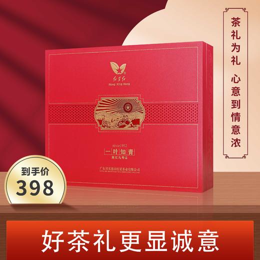 一叶知青∙贵人福英红九号 商品图0