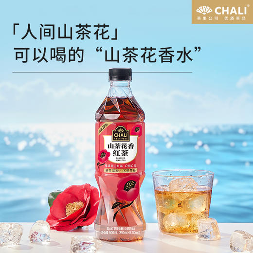 【新品上市】CHALI 山茶花香红茶无糖茶饮料500ml 15瓶/箱 商品图3