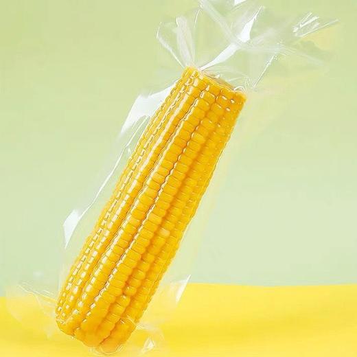 谷莱唐姆甜糯黄玉米10根/袋  新疆博乐特产 可放心食用 商品图1