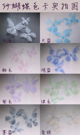 纱蝴蝶（运费自理）