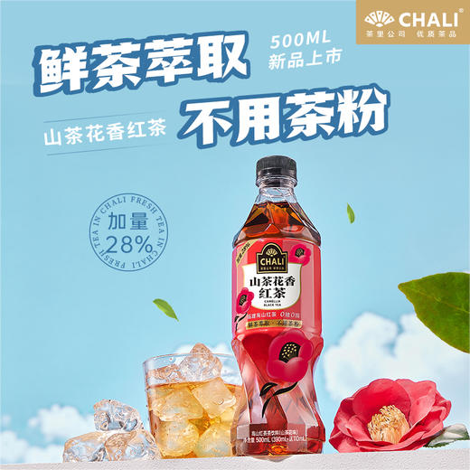 【新品上市】CHALI 山茶花香红茶无糖茶饮料500ml 15瓶/箱 商品图0