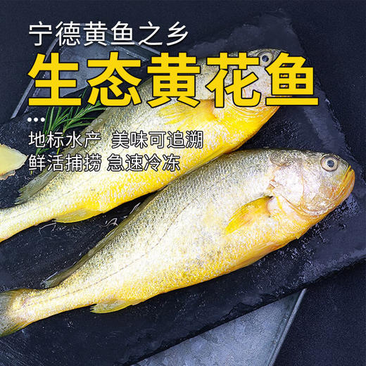 味尔佳  生态黄花鱼600-700g 商品图0