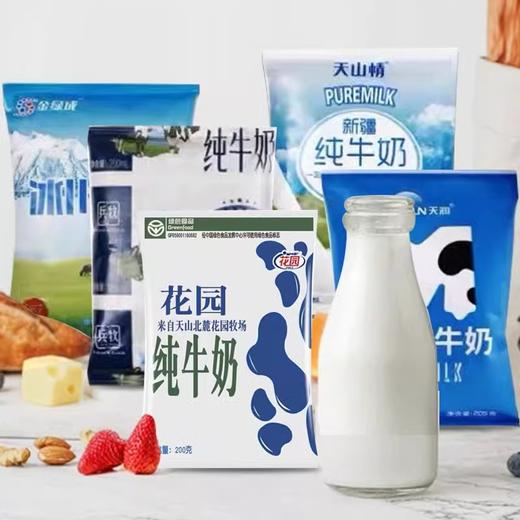 【浓醇好喝 回购无数】 新疆牛奶四拼盲盒 好喝的新疆牛奶天团  20袋/箱 商品图1