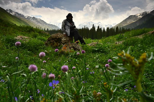 【新疆伊犁5月限定】绝美新疆 天山红花 塔夏古道8天摄影 商品图9