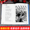 语文课本作家作品系列单色 白桦 商品缩略图4
