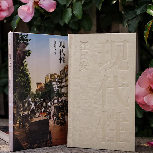 守望者书系：现代性 汪民安 著 商品图5